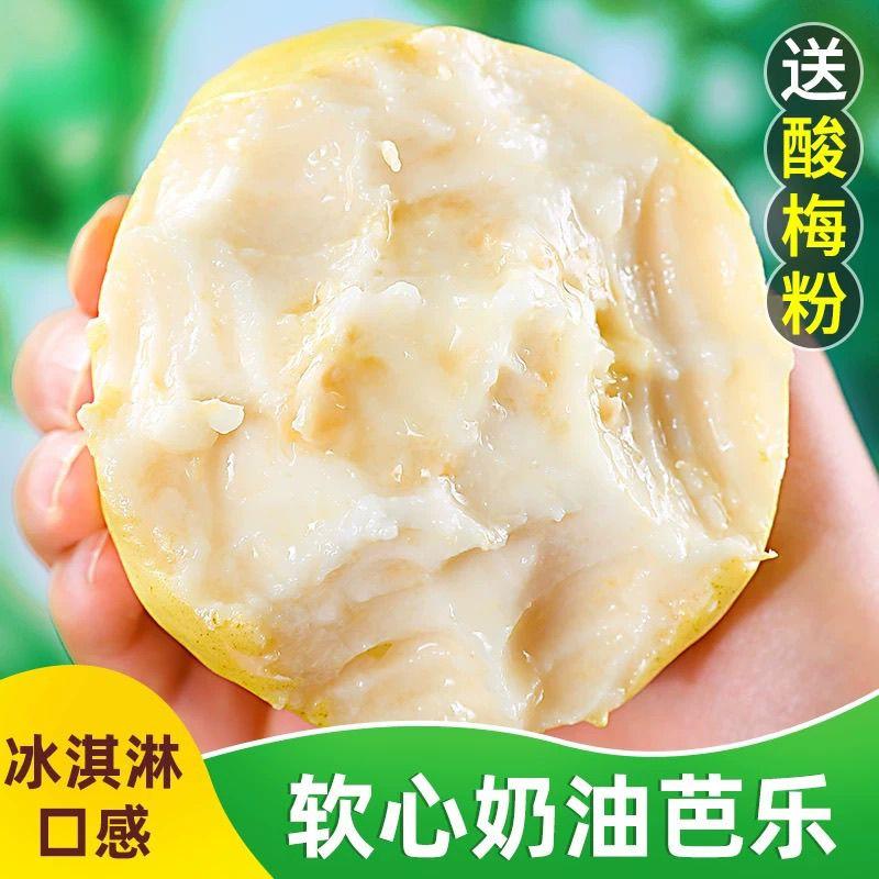 顺丰包邮福建软糯奶油芭乐5斤水果软白番石榴软心应季水果纯甜香