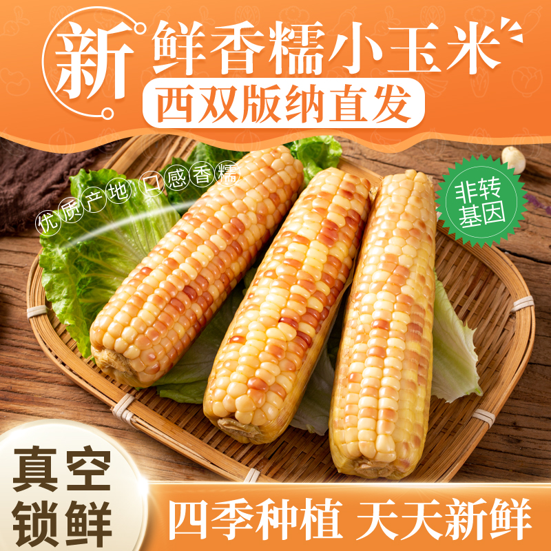云南西双版纳香糯小玉米 甜糯可口 香甜软糯鲜 真空包装