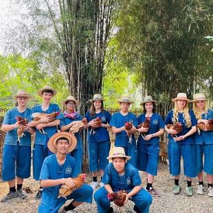 清迈亲子游生姜农场Ginger Farm清迈一日游半日游