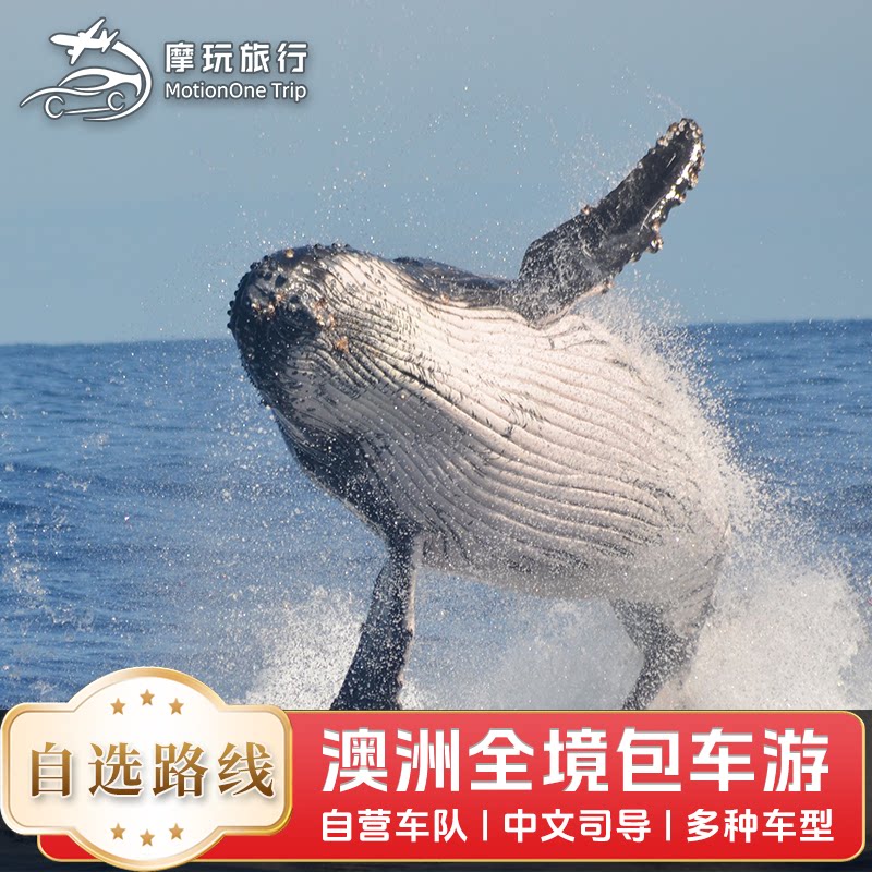摩玩旅行  澳大利亚包车堪培拉包车（按日包车/线路