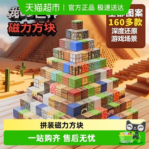 SNAEN/斯纳恩儿童磁铁吸铁石积木