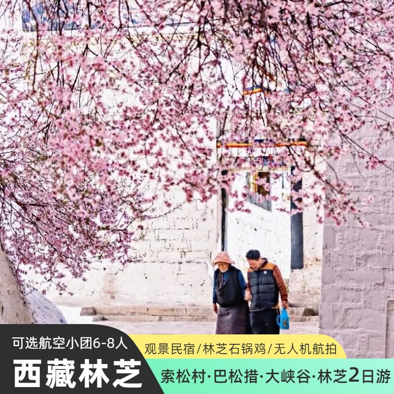 西藏林芝2日游南迦巴瓦峰巴松措