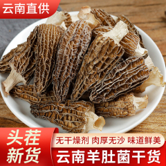 TBB干货羊肚菌特产级云南新鲜羊肚菌特级野生蘑菇菌菇汤料包头茬