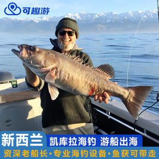 可趣游 Ian船长TOMO船长 新西兰旅游凯库拉海钓出海抓龙虾钓鱼
