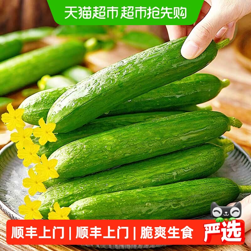 顺丰上门【繁花似锦】新鲜水果黄瓜脆爽生食脆嫩无刺健康蔬菜