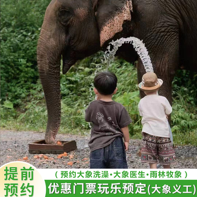 西双版纳野象谷 门票/大象洗澡/雨林牧象 /大象医生/繁育中心大象保育员等体验预约