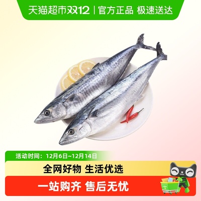 云储生活鲅鱼新鲜冷冻整条特大