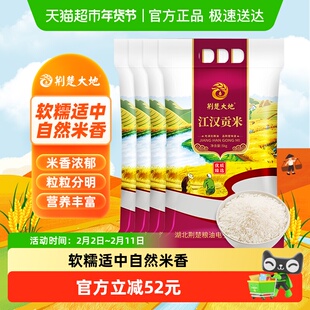 【囤货装】荆楚大地大米新米江汉贡米5kg*4袋真空长粒丝苗米籼米