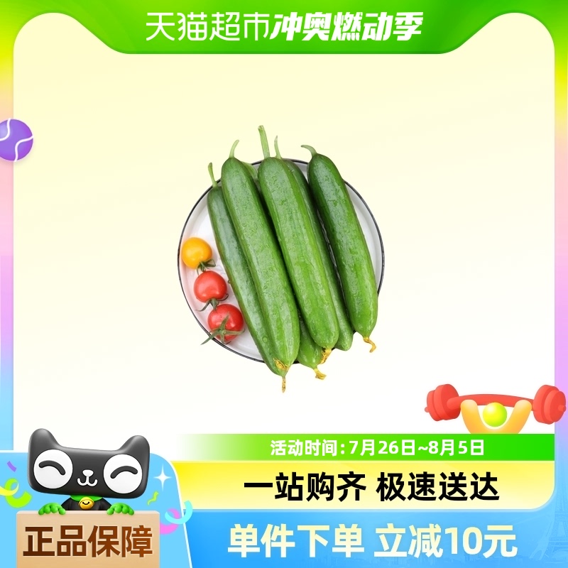 荷兰水果黄瓜清脆爽口生吃蘸酱3斤