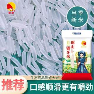 正宗瑶族猫牙米10斤新米象牙丝苗甄大米籼米真空包装瑶山长粒当季