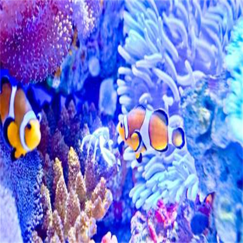 [赣州极地海洋世界-大门票]赣州极地海洋世界 门票