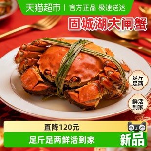 渔传播固城湖大闸蟹鲜活3.0全母螃蟹4.0公河蟹特大海鲜精品礼盒