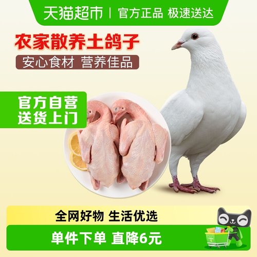 /农家散养温氏食品乳鸽