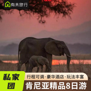 【品质纯玩】非洲肯尼亚旅游8日跟团游动物大迁徙私家团豪华酒店