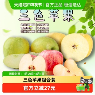 山东三色苹果组合装应季生鲜红富士苹果维纳斯瑞雪苹果组合