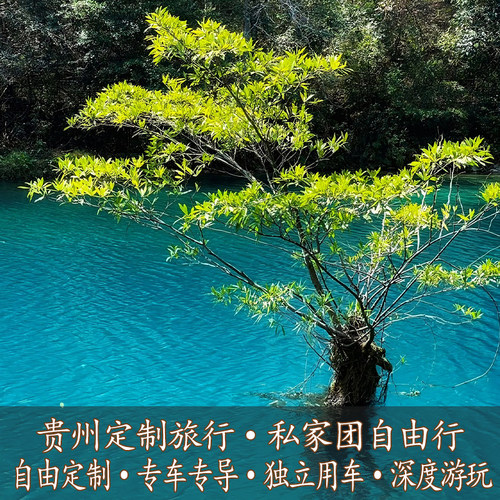 【专业定制】定制师为您量身设计，经典玩法，品质保障，您的旅行您做主 【贵州全景】贵阳+安顺+毕节+遵义+铜仁+黔南+六盘水+黔西南+黔东南 【适合人群】一单一团，亲子家庭游，情侣蜜月，快来定制专属你的旅行！ 【品质保证】贵州一站式私人定制，专业化服务团队，想要的旅行我们都有