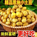 2025年恩施小土豆农家马尔科黄心老品种高山马铃薯迷你洋芋5 9斤