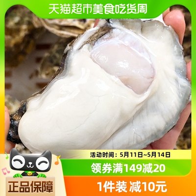 鲜海道乳山生蚝3XL2.5kg×1箱