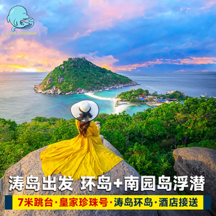 星海口岸泰国涛岛一日游涛岛出发环岛南园岛浮潜龟岛出海皮划艇