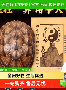 天然真品乌龟壳摆件文玩六爻起卦六十四卦摇卦工具乾隆铜钱手把件