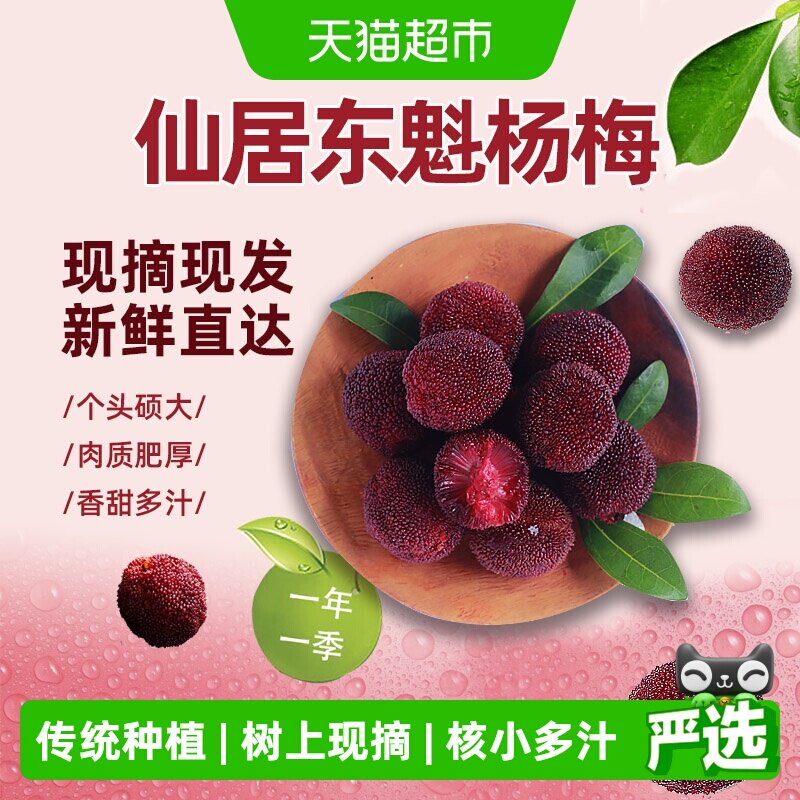 仙居东魁杨梅新鲜杨梅浙江台州杨梅大果时令新鲜水果