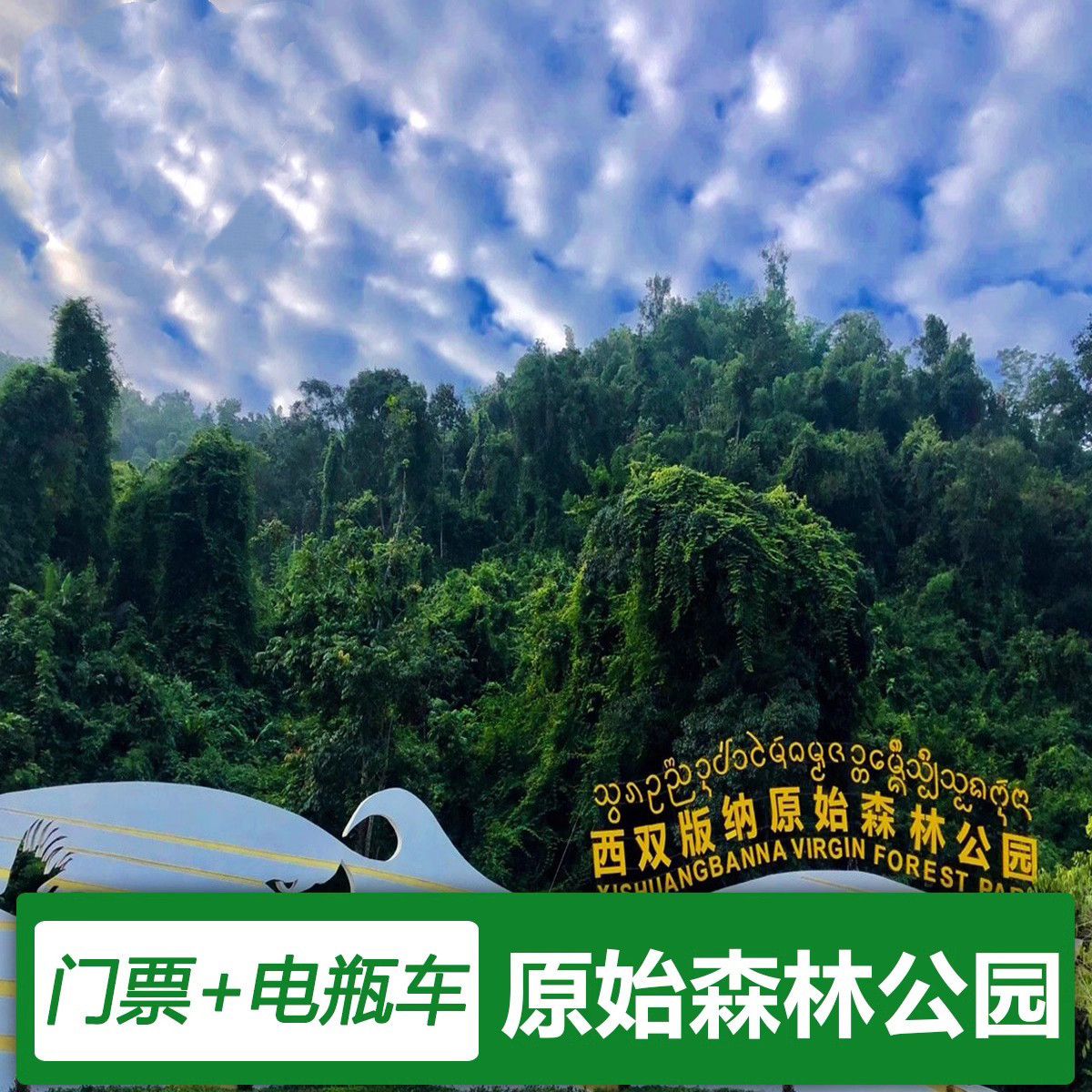 [西双版纳原始森林公园-大门票+往返电瓶车]西双版纳原始森林公园 大门票+往返电瓶车