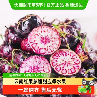 云南红果参鲜果新鲜水果蜘蛛果稀奇红参果应当季整箱大果