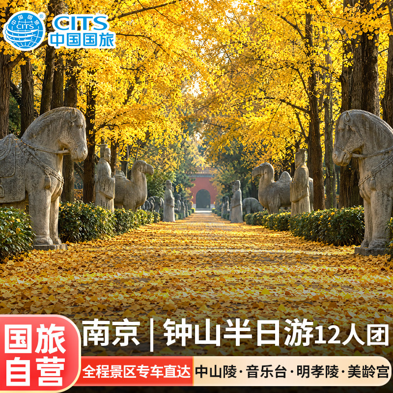 【12人团】国旅自营|南京半日跟团旅游中山陵音乐台明孝陵美龄宫