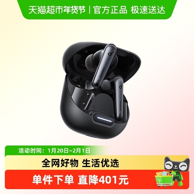 Soundcore/声阔入耳式降噪耳机