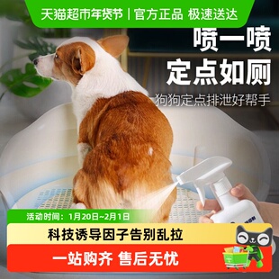 狗狗定点排便诱导剂训练引导狗狗上厕所狗大小便比熊幼犬排便除味