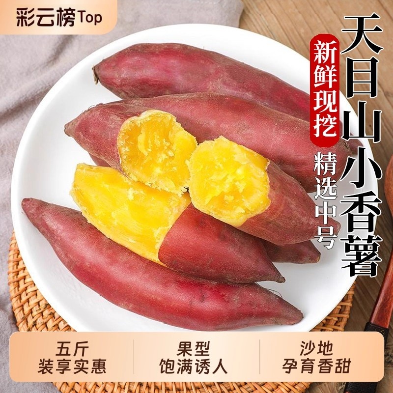 临安天目山小香薯正宗板栗红薯新鲜农家自种小番薯地瓜蜜薯
