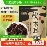 北大荒東北秋木耳無根肉厚