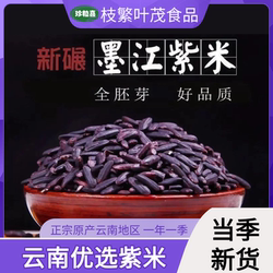 珍粒喜新米紫米云南墨江紫米黑糯粽子米饭团材料正宗杂粮米血糯米