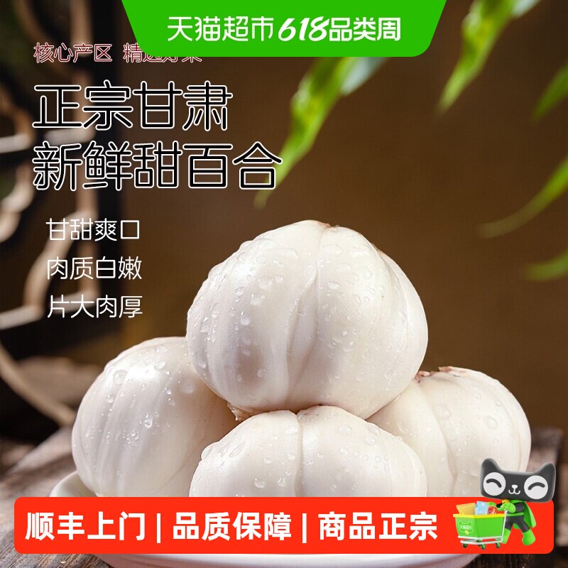 农鲜淘甘肃兰州鲜百合当季鲜挖甘甜爽口片大又匀称粗纤维少野菜
