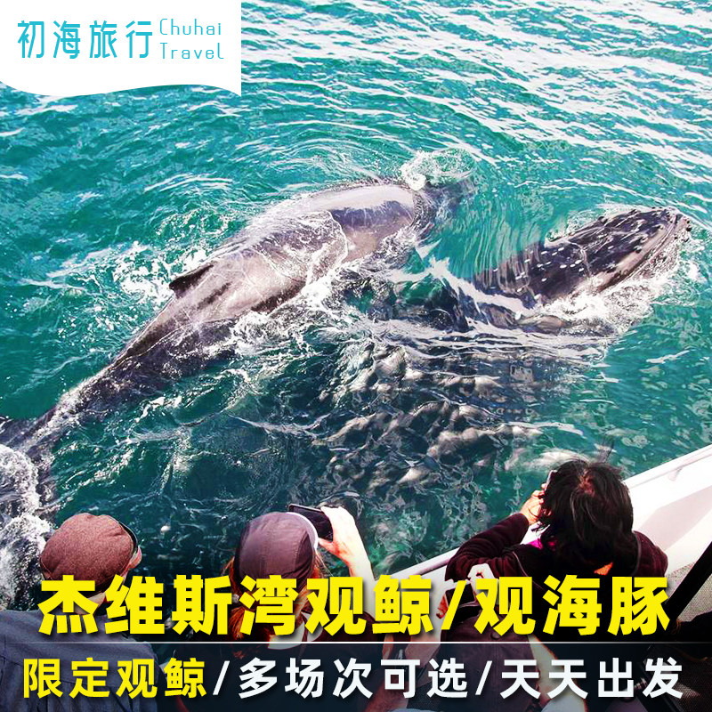 初海旅行澳洲悉尼jervis bay杰维斯湾观鲸观海豚游船周边旅