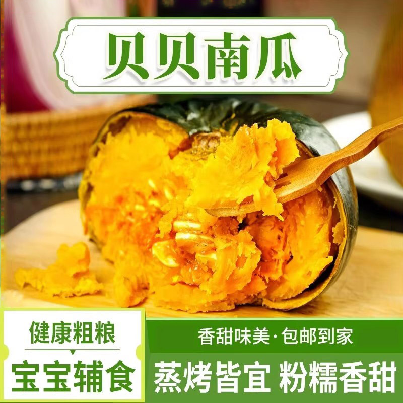 贝贝南瓜正宗粉糯新鲜板栗味小南瓜栗面老瓜粉糯早餐轻食辅食