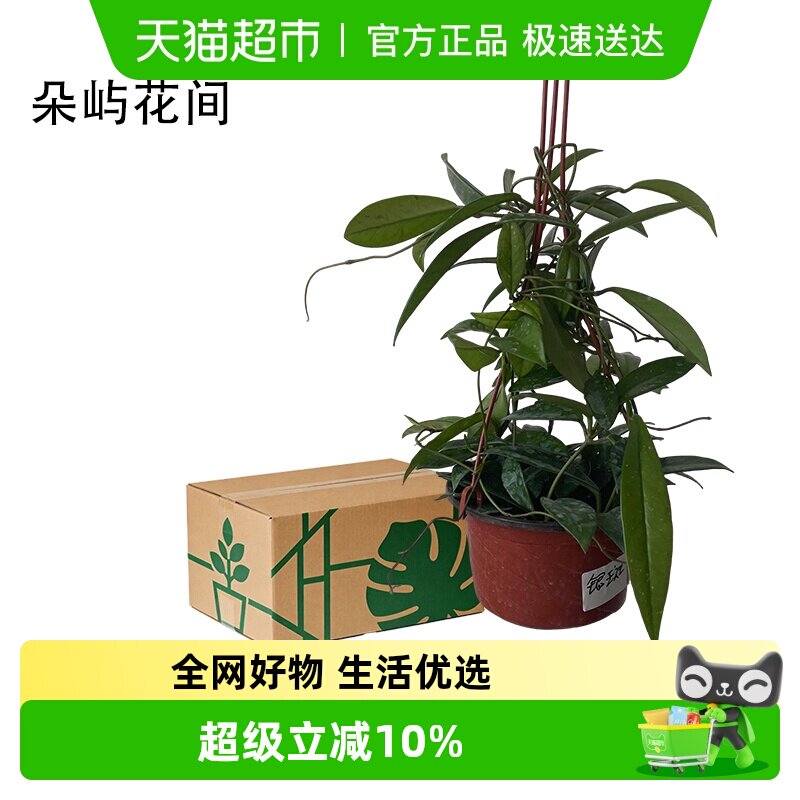 ����������̨�����׻��ļ���������ֲ�� 16.91Ԫ(��88VIP 95��)