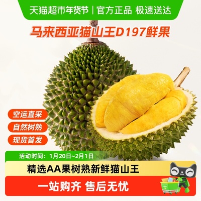 猫山王马来西亚进口榴莲