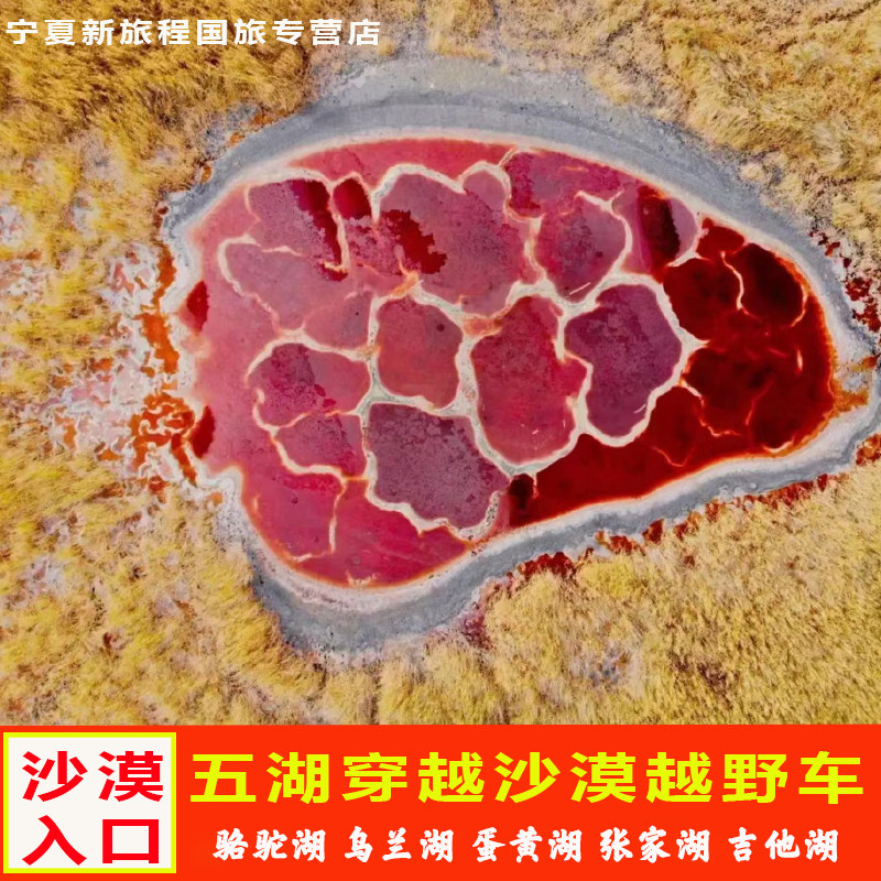 阿拉善左旗腾格里沙漠自驾旅游沙漠入口五湖穿越门票越野车包车 - 实物图