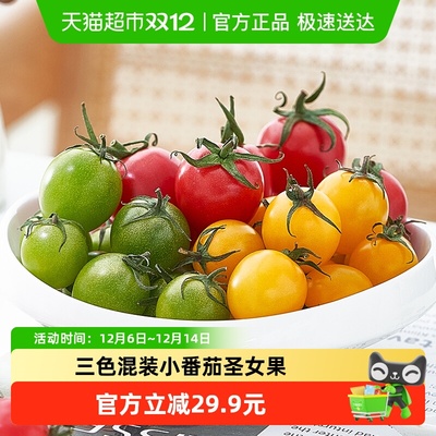 胡鲜森三色混装小番茄