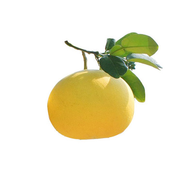 玉环文旦新鲜水果孕妇蜜柚薄皮