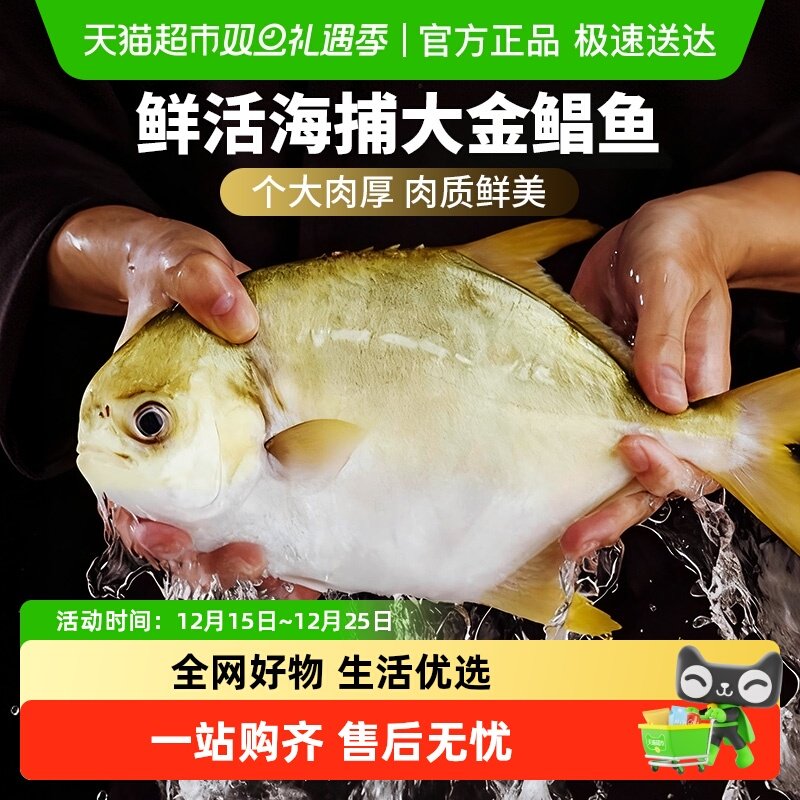 云储生活金鲳鱼新鲜冷冻鲜活特大鲳鱼日照金昌鱼海鱼白鲳银鲳鱼