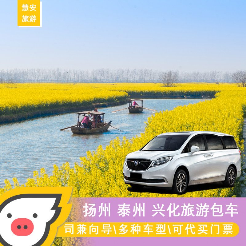 扬州泰州兴化千垛油菜花李中水上森林溱潼湿地公园古镇包车游