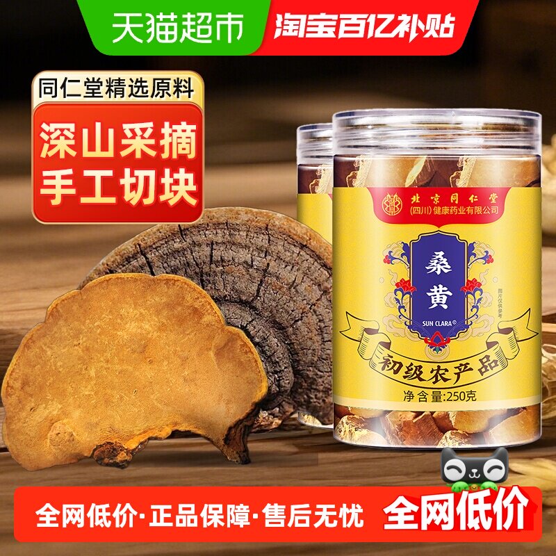 桑黄中草药材泡水灵芝片甘肃原产桑黄袍子粉泡酒泡茶水