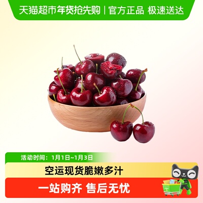 领鲜密码智利车厘子海运现货