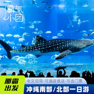 9人小团/巴士丨日本冲绳一日游北部南部美丽海水族馆冲绳王国海钓