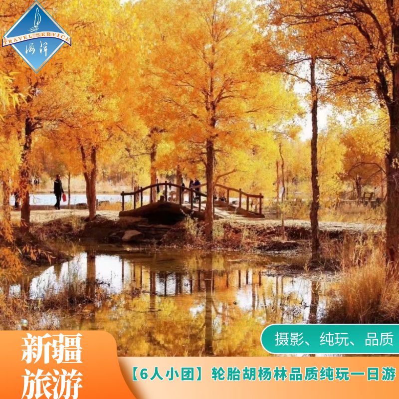 南疆旅游 库尔勒 轮胎胡杨林一日游