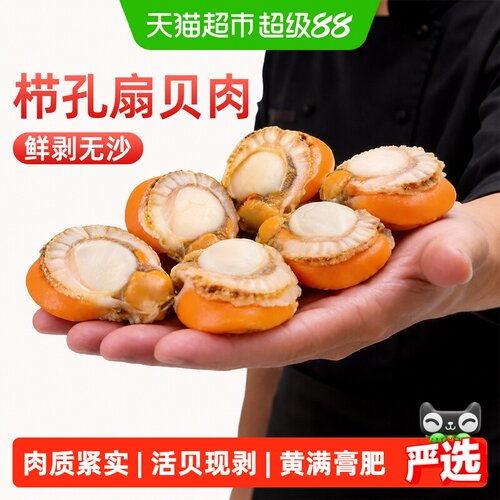 扇贝肉新鲜冷冻带黄特大号无冰