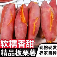 新鮮沙地蜜薯板栗紅薯糖心地瓜香薯山芋農(nóng)家自種現(xiàn)挖紅皮黃心紅薯