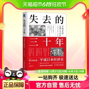 失去 平成日本经济史 三十年